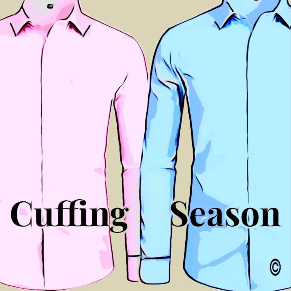 Dress shirts ---->